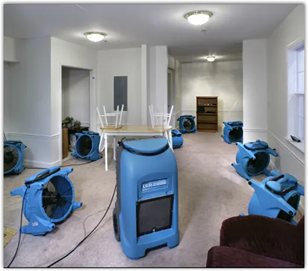 Mold Remediation & Removal in Montrose, MI
