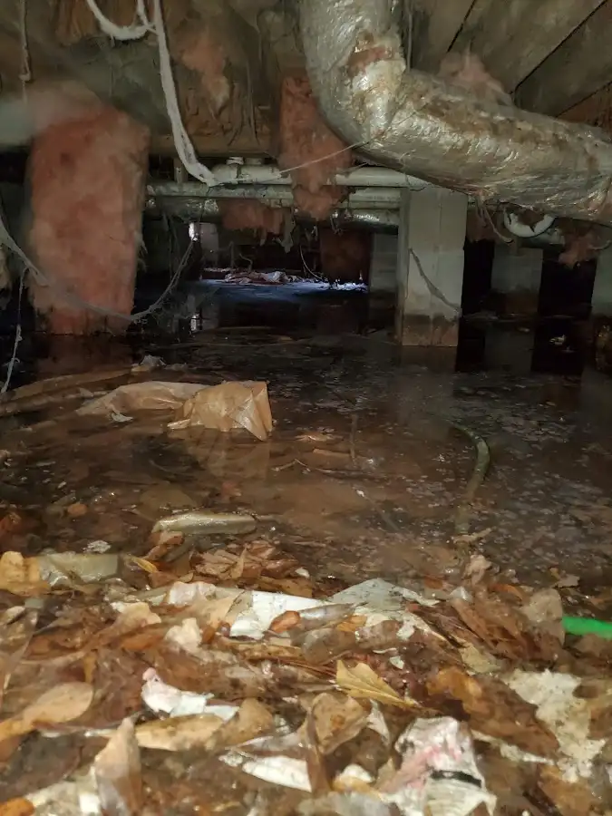 Crawl space flood assessment for Commercial Water Damage Restoration in Montrose